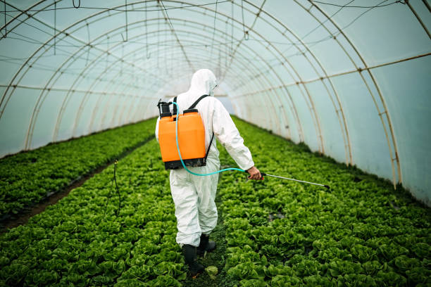 Best Affordable Pest Control Services  in Schuylerville, NY