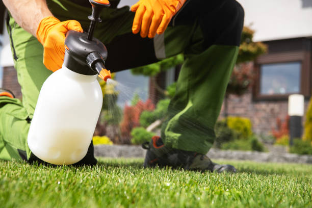 Best Flea Control Services  in Schuylerville, NY