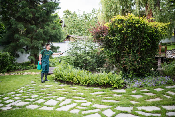 Trusted Schuylerville, NY Pest Control Experts