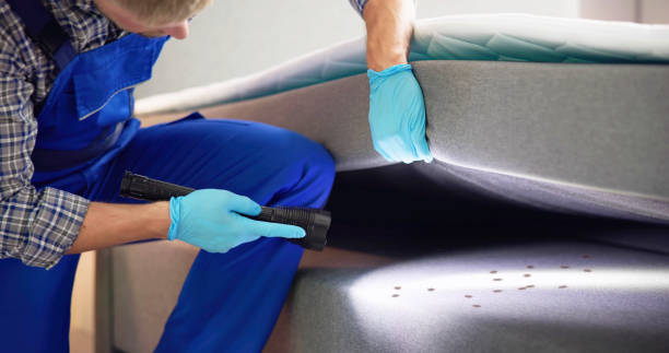 Best Affordable Pest Control Services  in Schuylerville, NY