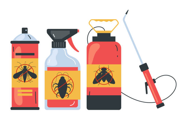 Best Spider Control Near Me  in Schuylerville, NY