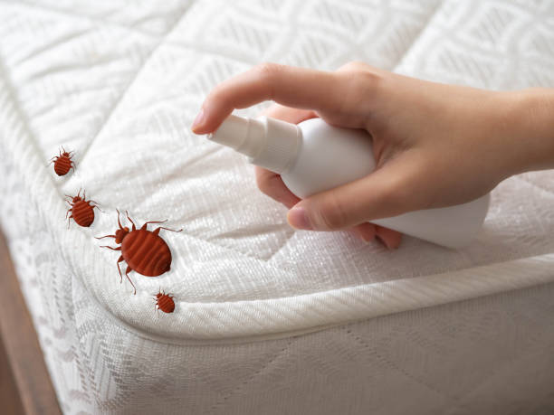 Best Commercial Pest Control Services  in Schuylerville, NY