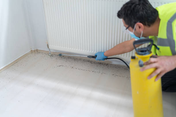 Best Termite Control Services  in Schuylerville, NY