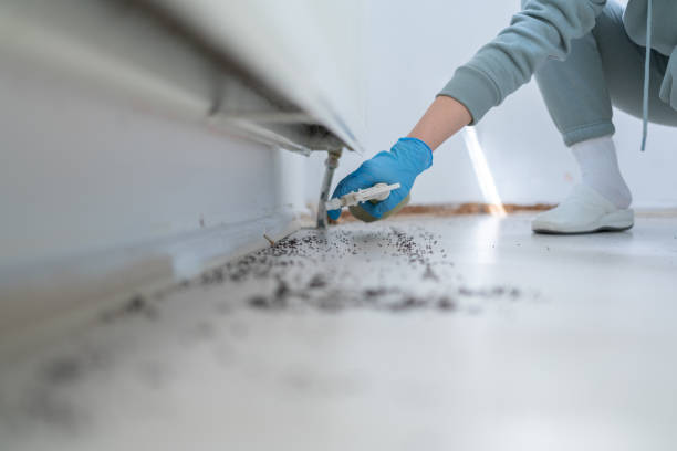 Best Pest Control Near Me in Schuylerville, NY